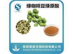綠咖啡豆提取物 富含綠原酸的天然香料與植物提取物