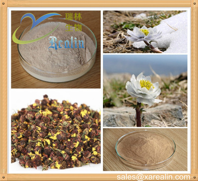 雪蓮脂 源自雪蓮花的專業植物提取物與天然香料