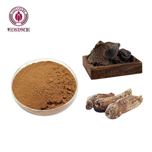 肉蓯蓉提取物與切片飲片 核心區別與科學使用指南