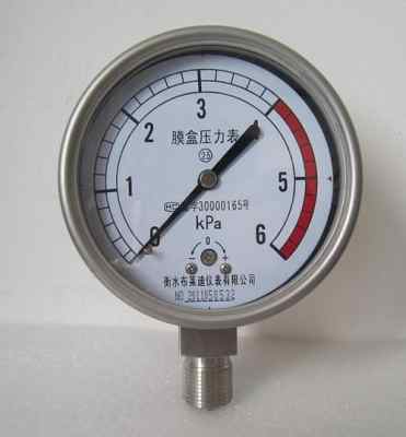 綠環(huán)YE-100膜盒壓力表今日報價及產(chǎn)品解析